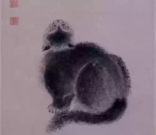 猫和老鼠共研服激活码2021(猫和老鼠怎样加入共研服)