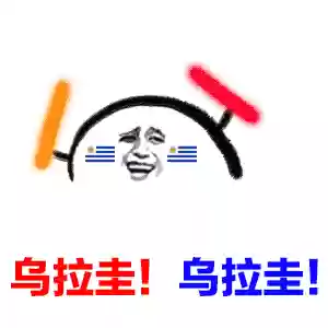 葡萄牙阵容表情包是谁(西班牙国家队最新阵容)插图8