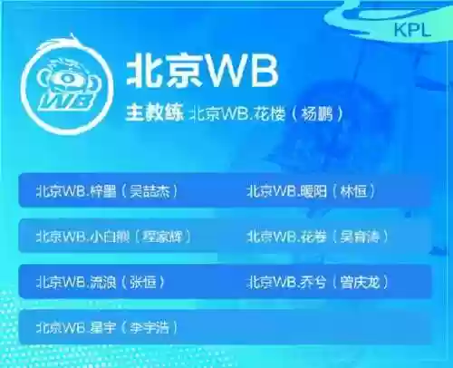 挑战者阵容阵容名单最新(无尽挑战阵容搭配)插图8