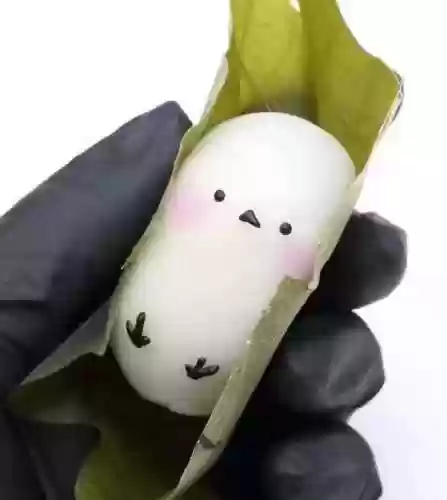 疯狂的兔子第二季(超级兔子人二2)