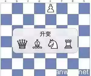 国际象棋教程(国际象棋3d战斗版)插图21