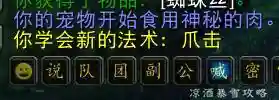 魔兽世界怀旧服猎人宠物(怀旧服必抓的三个宝宝)插图12