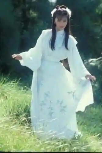 老版神雕侠侣83版电视剧(神雕侠侣83版免费观看粤语)插图36