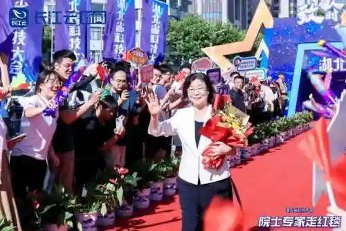 全明星阵容的意思(三国全明星前期推图阵容)插图5