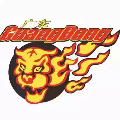 广东队历史第一阵容名单(广东队历届球员名单)