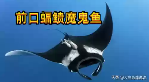 虚空进化阵容(虚空幻界终结之剑进化路线)插图6