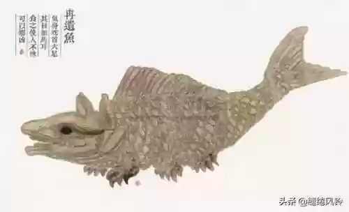 108只神兽大全(宝可梦98只神兽图片)插图52