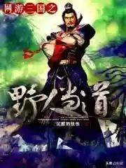 网游三国之野人当道(网游之三国无双笔趣阁)插图4