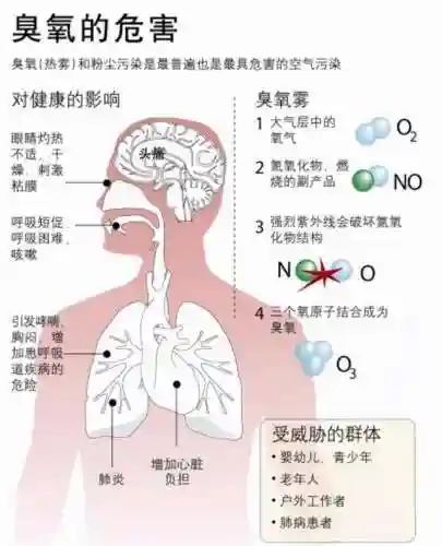 最强省电软件(最强大脑1到10季的脑王)插图20
