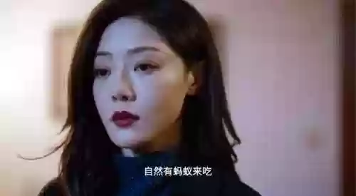 新版黑土阵容(云顶新版本最新阵容)插图1