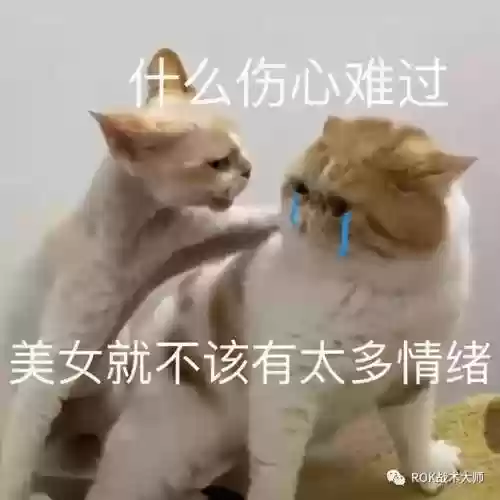 万国劫掠者怎么搭配阵容(万国觉醒后期最强阵容)插图23
