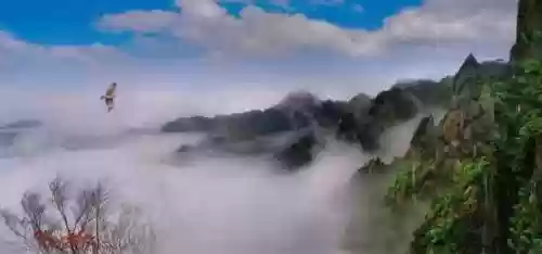 深恶痛绝的意思(深恶痛绝的近义词)