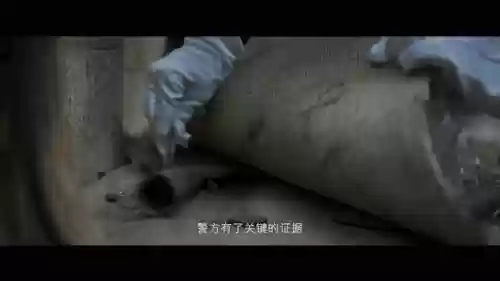 对决演员阵容(全民对决最佳阵容)插图18