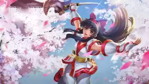 娜可露露不适合什么阵容(娜可露露前期强还是后期强)插图6