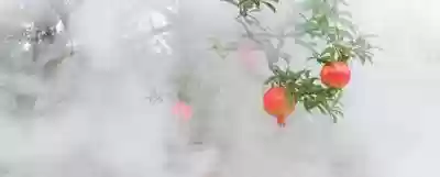 相亲相爱一家人(相亲相爱原版歌词)