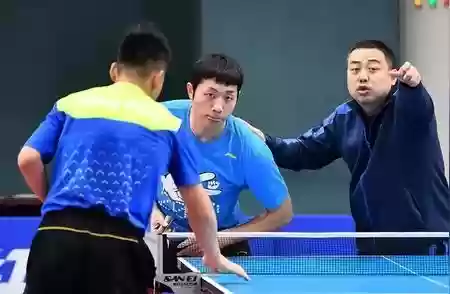 颗粒阵容搭配(橙绒蚁阵容搭配)插图2