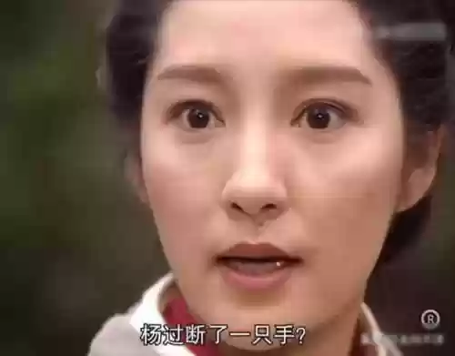 神雕侠侣95版国语32集(95版神雕侠侣23集)插图5