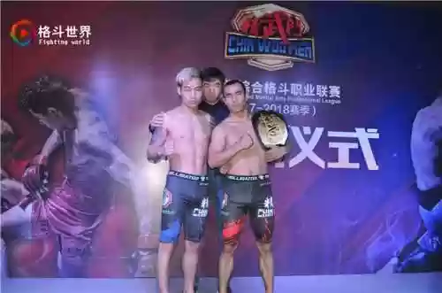 精武门团体最强阵容搭配(从精武门开始的小说)