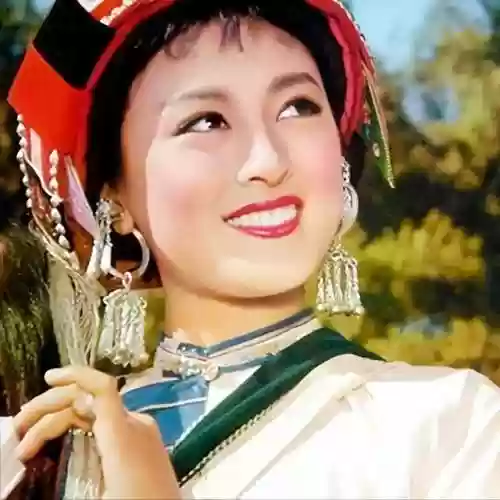 阿诗玛阵容(南蛮骑的顶级阵容搭配)插图3