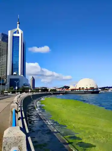 燃情启航阵容攻略(航海王启航平民最强阵容)插图6