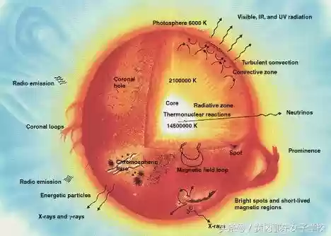 太阳阵容易(宝可梦t0阵容)插图1