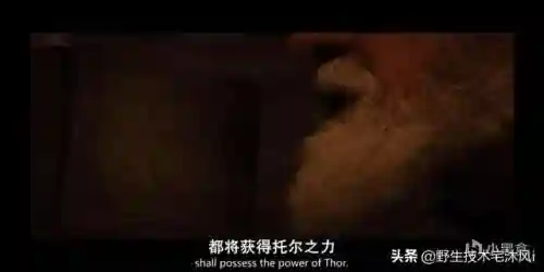 雷神1百度云(雷神1百度网盘1080p)插图12