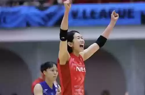 外国女排集训阵容队员(巴黎女排12支球队)