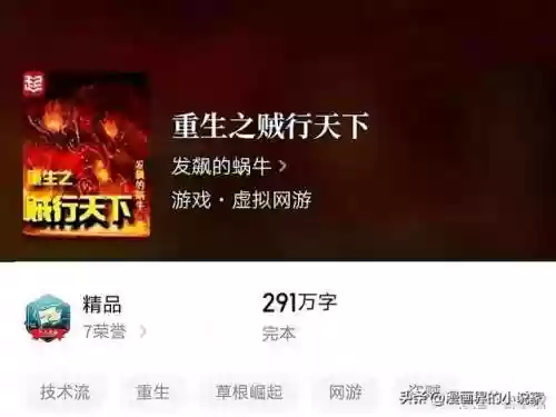 网游重生之贼行天下(网游盗贼小说十大经典超级盗贼)插图1