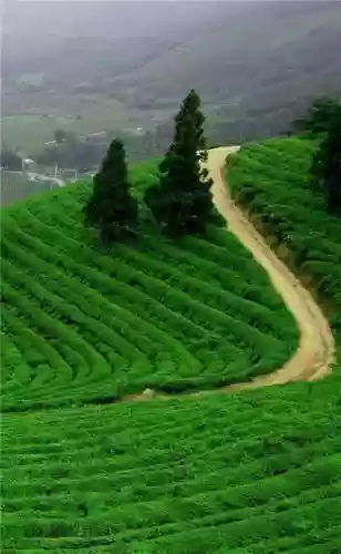 精美壁纸手机高清图片(精美壁纸动漫 二次元男生帅气)插图79