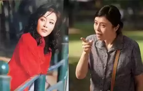 红楼梦杨洋版阵容搭配(多多自走棋阵容搭配)插图8