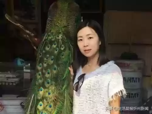 忻州附中初中老师阵容介绍(忻州实验和附中哪个好)插图35