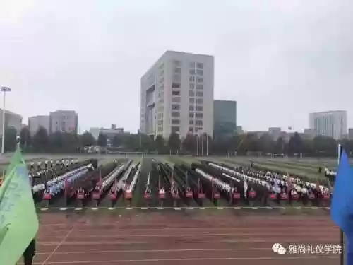 礼仪阵容培训(礼仪培训ppt课件)