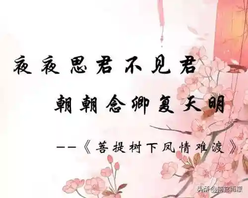 元神帝君阵容搭配(原神最强阵容推荐t0)插图1