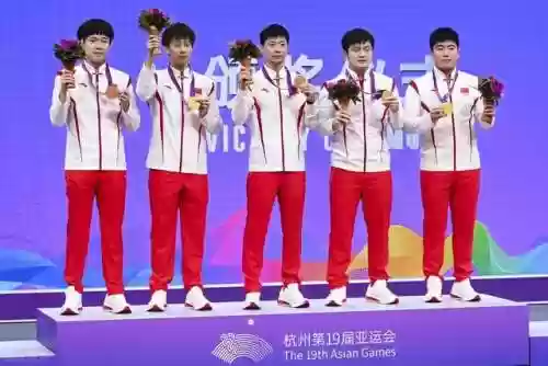 国际乒乓球主力阵容有哪些(中国乒乓球队主力)插图7