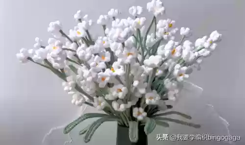满天星花束(满天星花语及寓意)