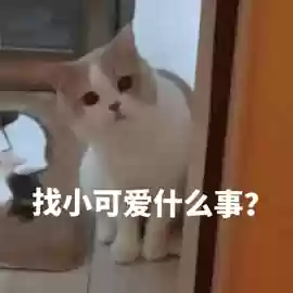 猫咪对话翻译器(猫语翻译器免费版)插图1