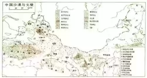梭梭树图片(梭梭树生长周期)插图1