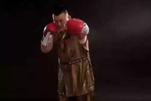 中国拳王第一名是谁(中国拳击手前十排名)插图1