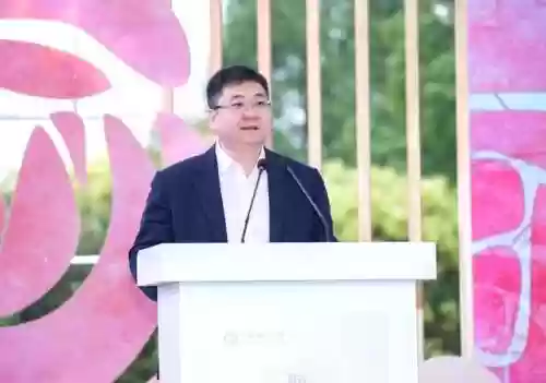 玫瑰小镇嫁接花列表(玫瑰小镇嫁接最容易出大虫的)插图2