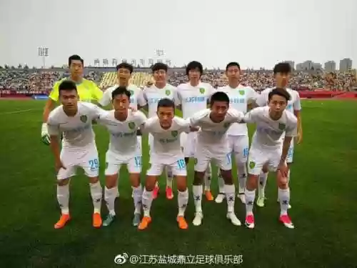 盐城大丰阵容(三国志战略版乐进S1阵容搭配)插图2