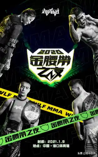 武林风最强搏击阵容(UFC史上公认的最强是谁)插图1