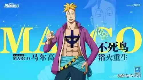 航海王热血燃尽阵容推荐(航海王燃烧意志t0阵容)