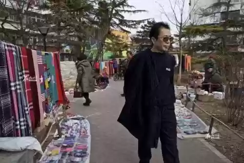 金灿灿毒瘾阵容(金灿灿福星版本哪个阵容最强)