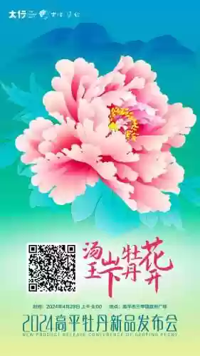 高平比赛阵容(剑盾双打阵容)插图23
