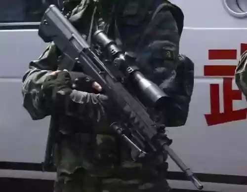 中国最变态的狙击枪(十大反器材狙击步枪)插图2