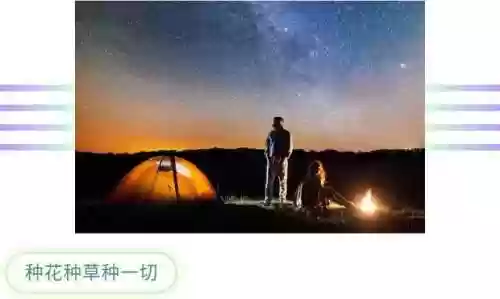 金铲铲432拉拉队阵容(金铲铲搭配阵容)插图12