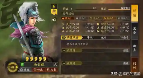 马云禄 阵容(极限司马懿阵容搭配)插图1