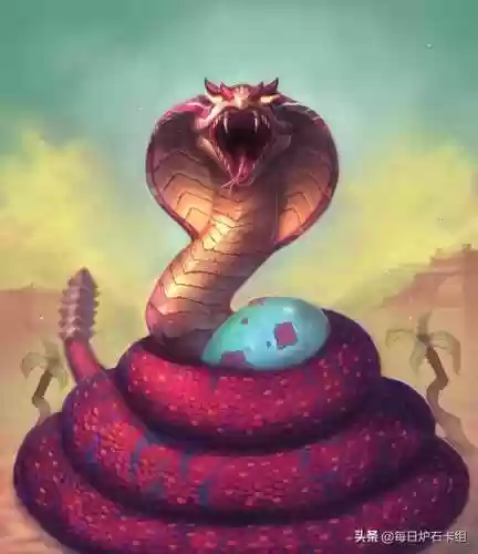 炉石传说完美蛙跳阵容效果(炉石传说天梯卡组)插图3
