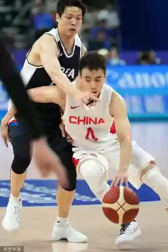 半决赛韩国菲律宾阵容(14年巴西半决赛阵容)插图5