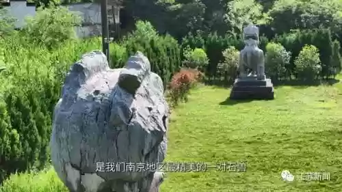 神兽是什么意思(神兽在家文案幽默句子)插图38